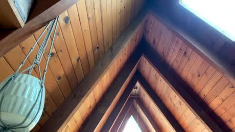 popalottapuss - puddin tits - daddy - buttercup - bonfire - Mrs. Fuck Yea - hibeams - honey buns - online show from April 13, 6:34 pm