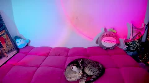 Snapshot of emmaterrestrial chatting on October 9, 6:24 pm RH-NEGATIVE GREEN-EYED BAELIEN online show from October 9, 6:24 pm