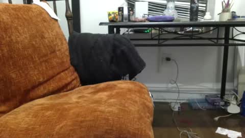 empusalamia online show from January 18, 11:22 pm