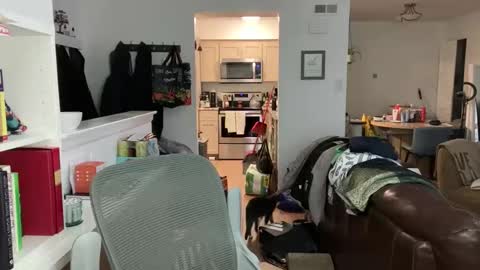 enigma_astute online show from April 9, 1:31 am