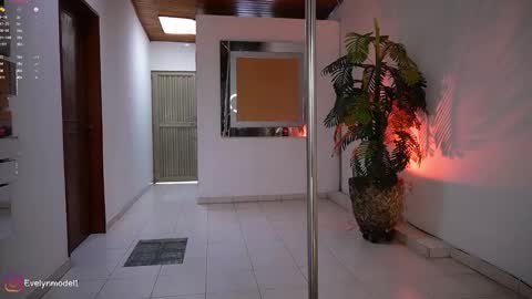 evelyn evelyn online show from January 9, 5:51 pm