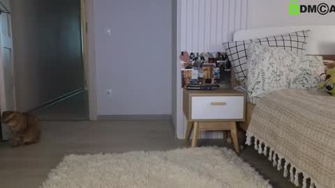 Snapshot of evi_woow chatting on February 22, 5:13 pm evi_woow online show from February 22, 5:13 pm