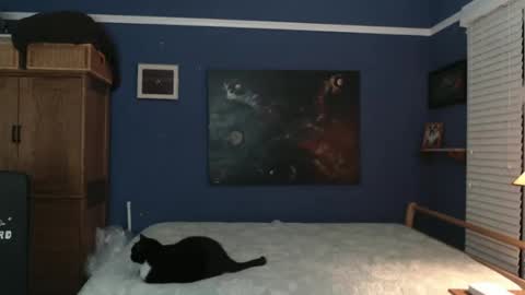 Tommy Rose online show from December 26, 4:53 am