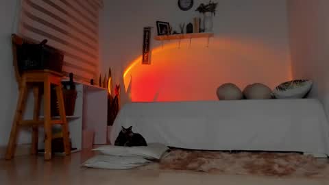 -  A N D E R online show from March 7, 11:27 pm