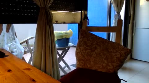 Fabro online show from February 21, 8:28 am