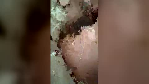 fairdog123 online show from April 21, 4:08 am