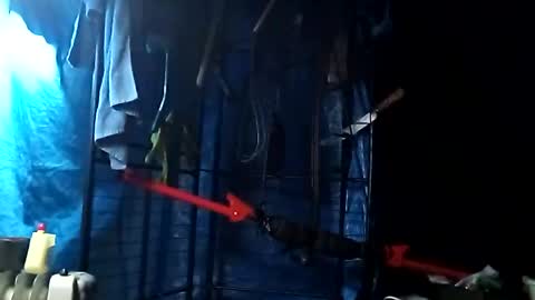 Snapshot of fallguyb1875150 chatting on October 20, 2:55 pm fallguyb1875150 online show from October 20, 2:55 pm