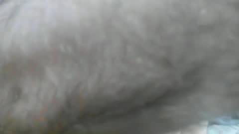 feardubh online show from February 11, 12:20 pm