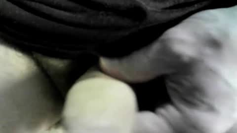 felicaste online show from September 18, 10:30 am