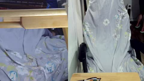 felixlau online show from February 25, 12:27 pm