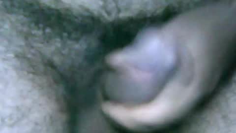 fer_2197 online show from December 28, 1:17 pm