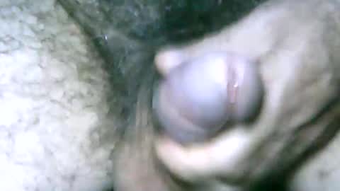 fer_2197 online show from January 1, 4:29 pm