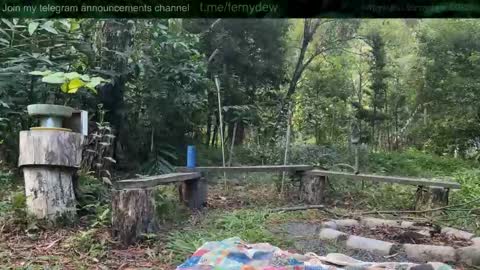 Fern next stream 430pm Monday PST online show from November 18, 6:05 am