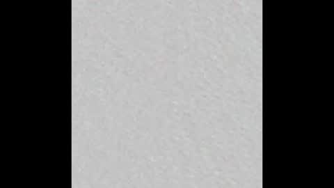 castor online show from February 20, 9:00 am