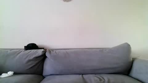 MilfnDaddy online show from December 27, 6:53 pm