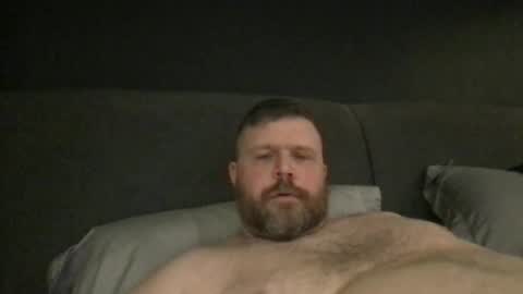 fin bear dom online show from February 17, 2:28 pm