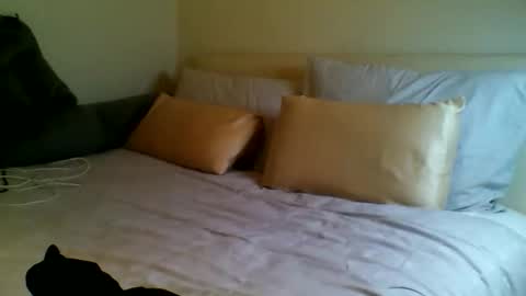 Fitbut online show from September 15, 7:04 pm