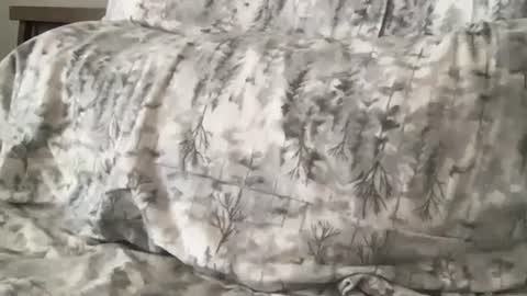 FitCollegeStudxx online show from February 17, 7:23 pm