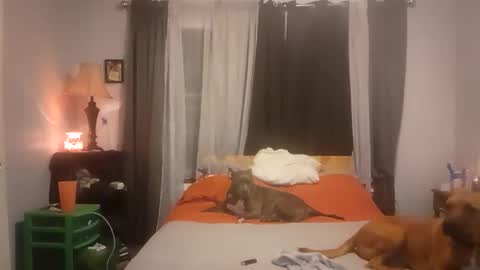 Nate online show from October 13, 3:19 am