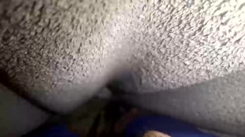 flaash_99 online show from March 2, 11:28 am