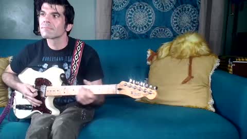 Flannel Dong online show from November 30, 3:02 am