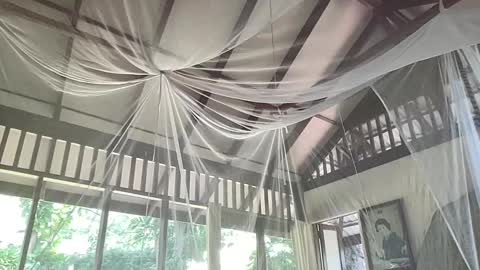 fluffy_bunnyxxx online show from February 6, 5:35 am