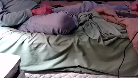 foodforcatfists online show from December 17, 4:52 am