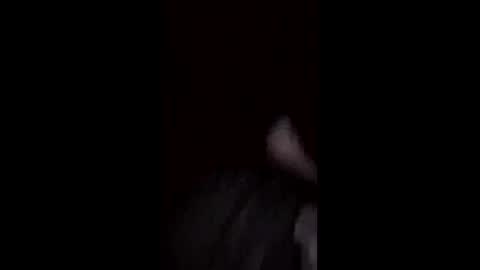 foxyfang online show from April 28, 5:34 am