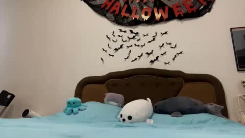 Francis online show from October 31, 12:27 pm