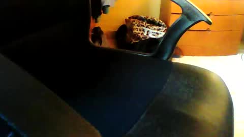 Snapshot of frangreatcock chatting on October 15, 4:52 pm Frangreatcock online show from October 15, 4:52 pm