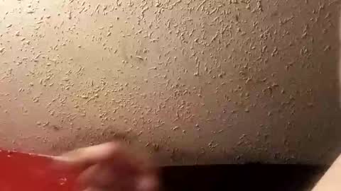 Snapshot of franklyzappa chatting on December 7, 3:58 pm Jon Reremey online show from December 7, 3:58 pm