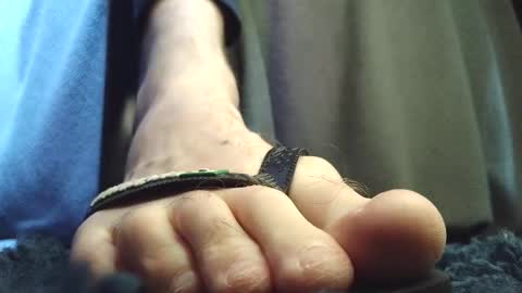 Greedy Fred online show from February 13, 4:43 pm