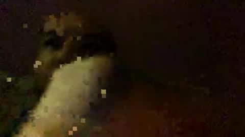 freelingling online show from November 30, 8:21 am