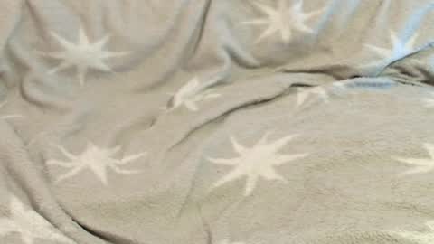 Meadow online show from February 18, 11:37 pm