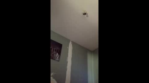 fukitol73 online show from April 14, 3:43 am