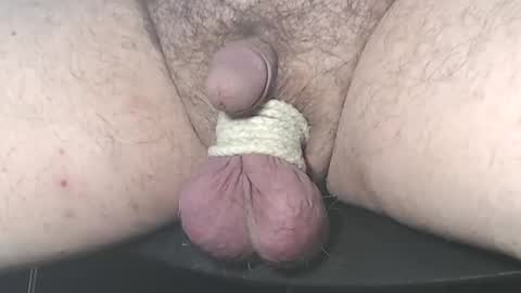 Pussy Boy online show from February 26, 9:12 am