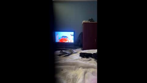 FunPat79 online show from December 7, 9:00 am