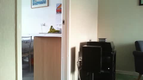 Funslimguy online show from April 13, 4:55 pm