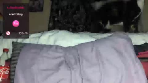 GalaxxyRose online show from February 22, 8:29 am