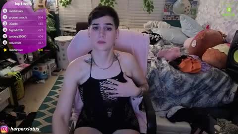 HarperxLotus online show from December 15, 1:45 am