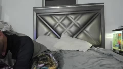 Trace online show from November 27, 5:15 am