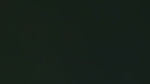 Georgina online show from February 3, 3:16 pm