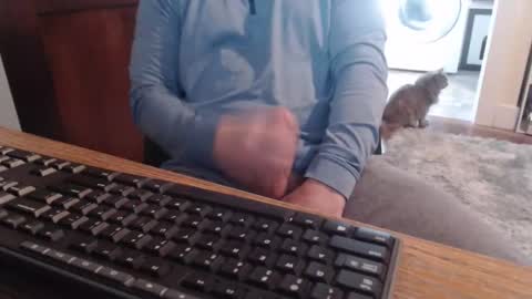 gethoggy online show from October 23, 2:18 pm