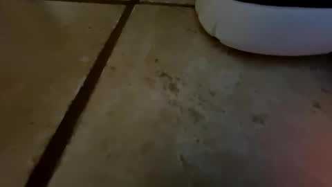 Getngetout88 online show from November 30, 5:36 am