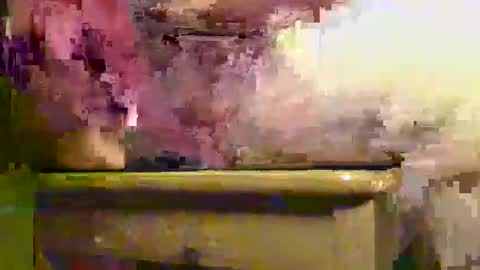 Ptite bite online show from December 1, 1:31 pm