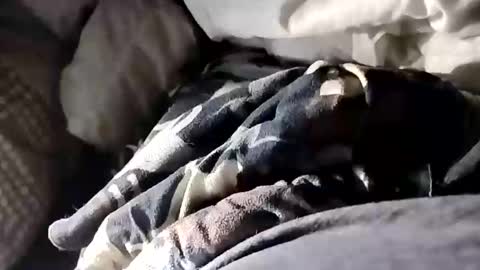 gig591757 online show from April 19, 5:52 am