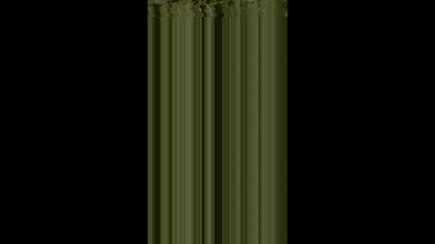 gimedat7412 online show from March 12, 8:07 am