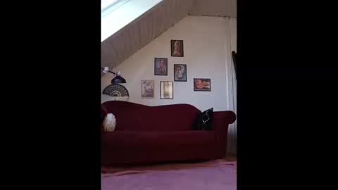 Gina online show from March 6, 8:30 am