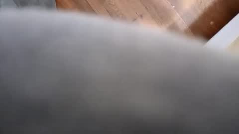 gjspringer online show from December 28, 10:03 am