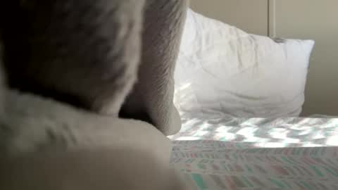 glazehoney online show from October 30, 7:36 pm